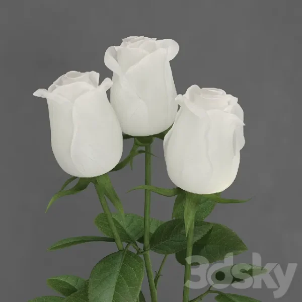 3DSky - Chest Roche Bobois Villandry - Image 2