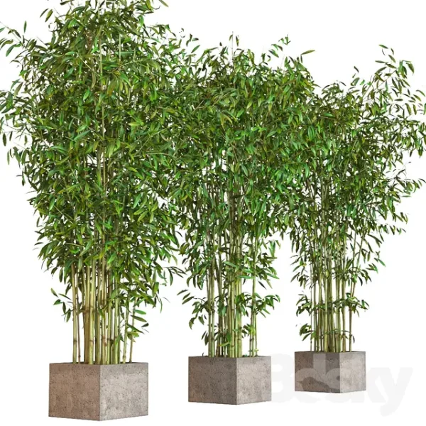 3DSky - Potted Bamboo