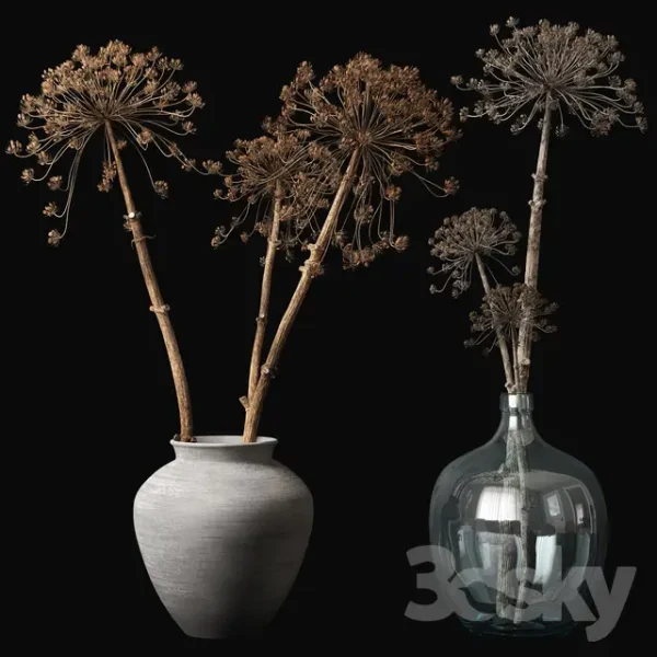 3DSky - Old Heracleum