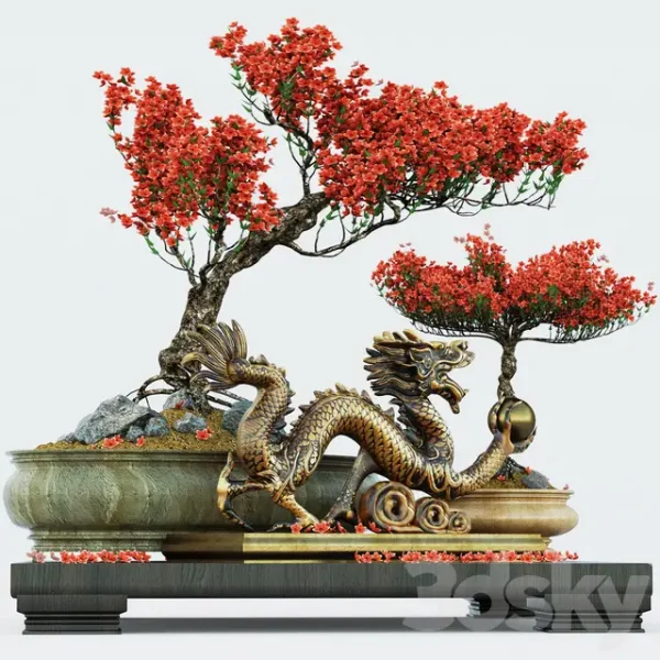 3DSky - Semi bonsai