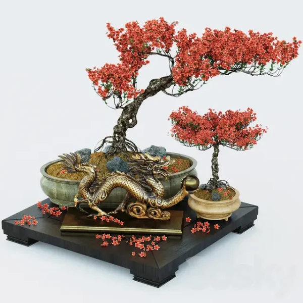 3DSky - Semi bonsai - Image 2