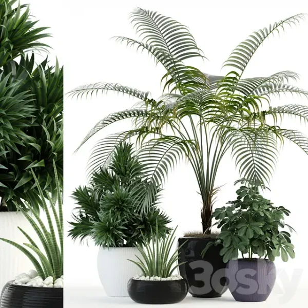 3DSky - Plants Collection 86
