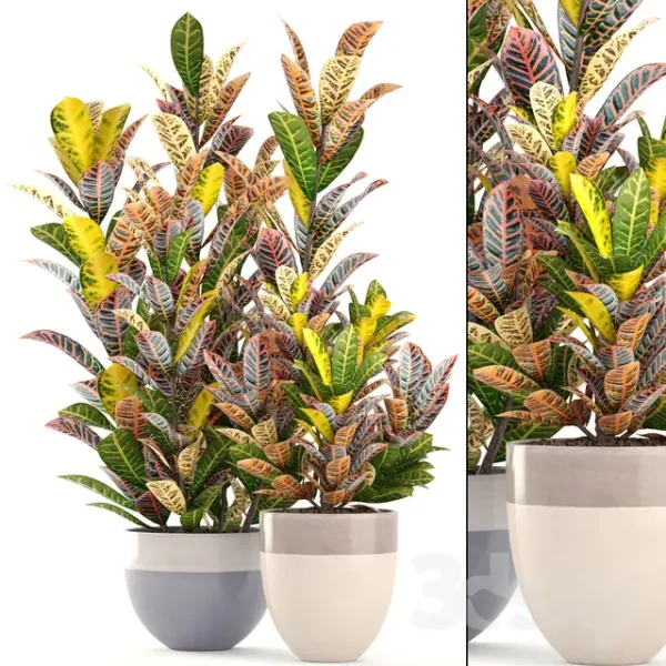 3DSky - Collection of Plants 2