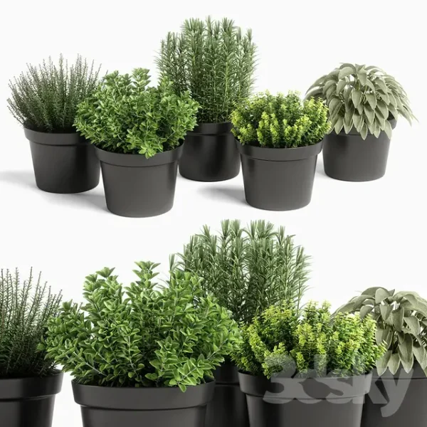 3DSky - Plants Set 05