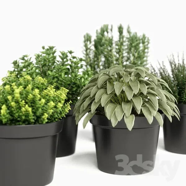 3DSky - Plants Set 05 - Image 2