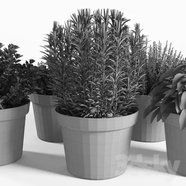 3DSky - Plants Set 05 - Image 3