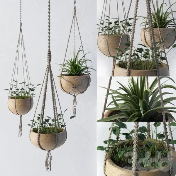 3DSky - Decorative Set of Flower Pots