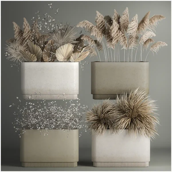 3DSky - Collection of Plants From Dried Flowers