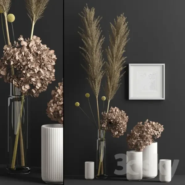 3DSky - Decor with Dry Flowers