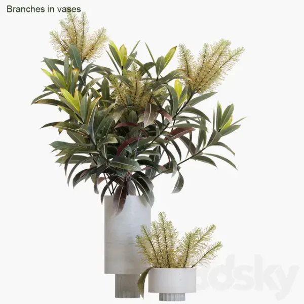 3DSky - Branches in Vases 12