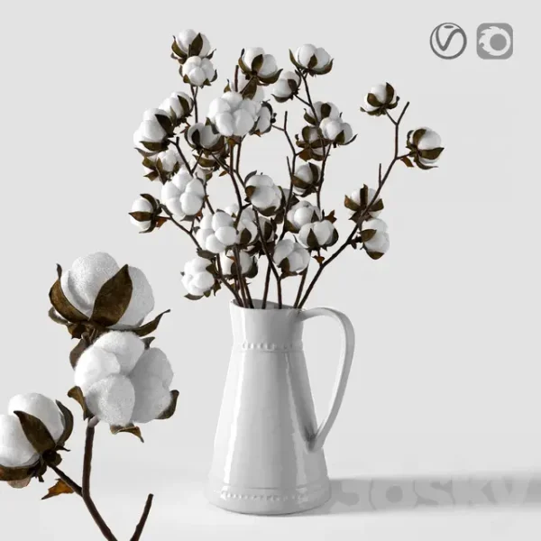 3DSky - Cotton in a Jug