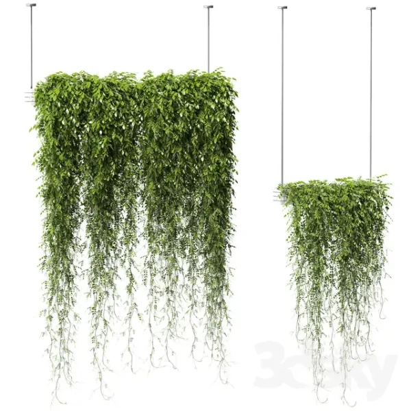 3DSky - Plants in Hanging Planters v2 2 models