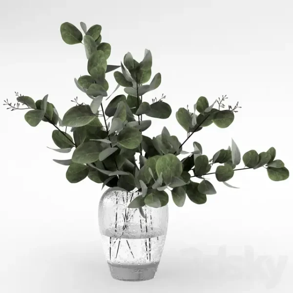 3DSky - Bouquet of Eucalyptus