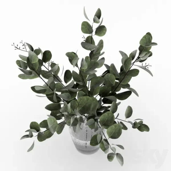3DSky - Bouquet of Eucalyptus - Image 2