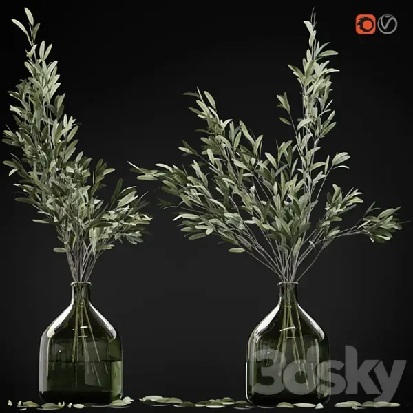 3DSky - Olive Stems in Glass Vase with Water - Image 2