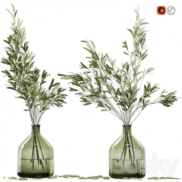 3DSky - Olive Stems in Glass Vase with Water