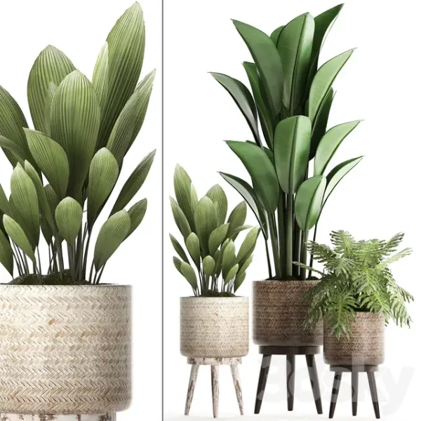 3DSky - Plant Collection 428