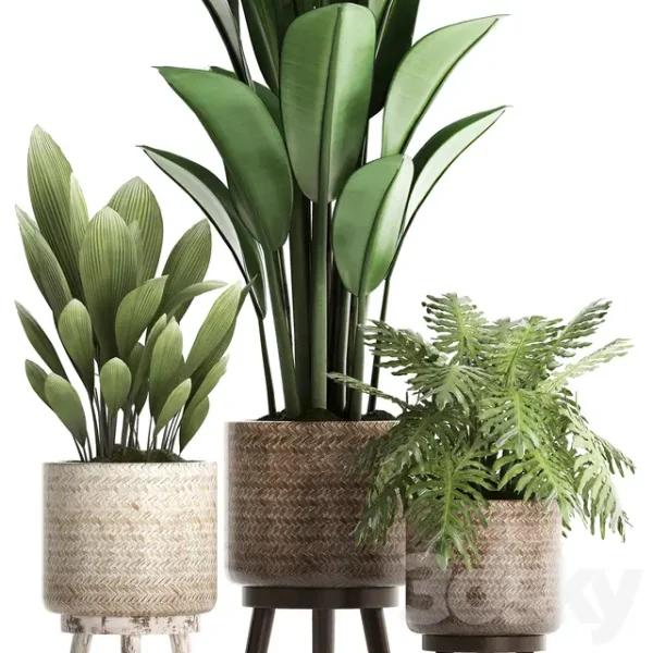3DSky - Plant Collection 428 - Image 2