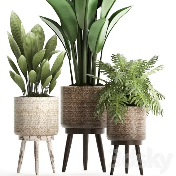 3DSky - Plant Collection 428 - Image 3