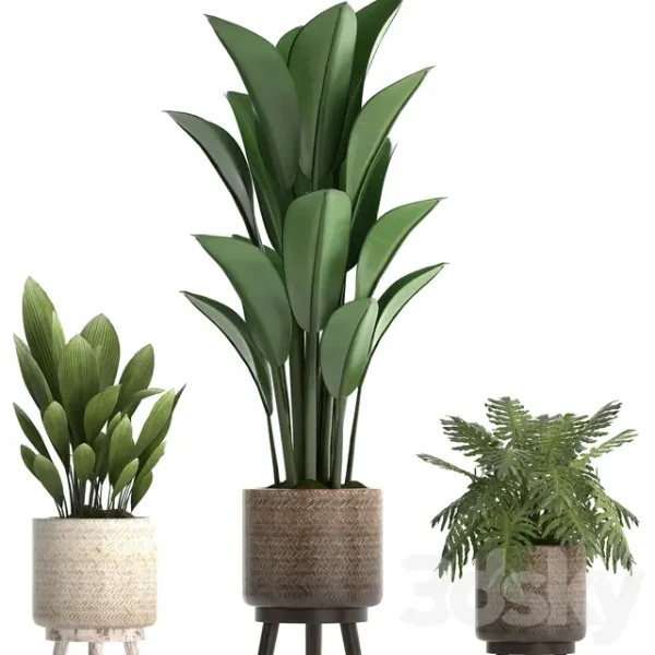 3DSky - Plant Collection 428 - Image 4