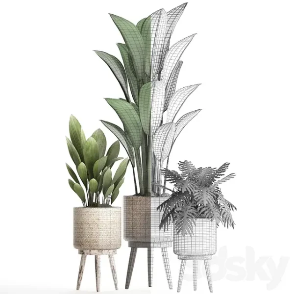 3DSky - Plant Collection 428 - Image 5