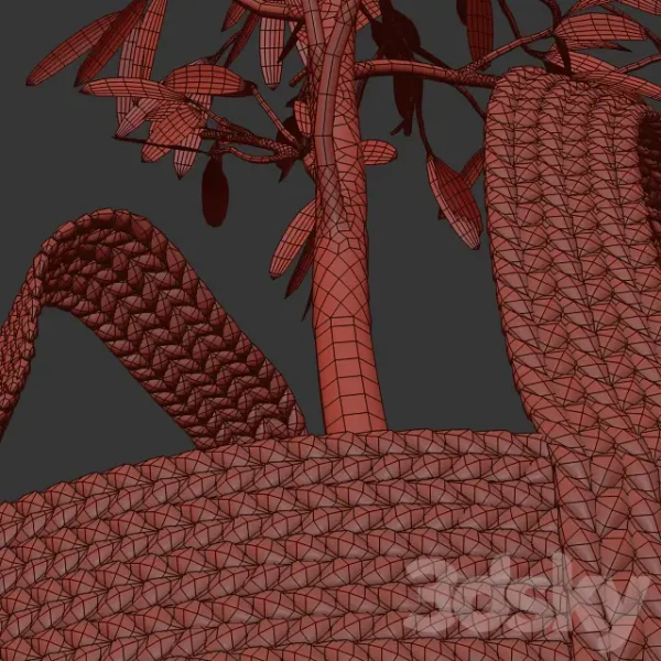 3DSky - Wicker Basket Containing the Delicate Olive Tree - Image 3
