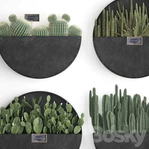 3DSky - Vertical Gardening 55 - Image 5