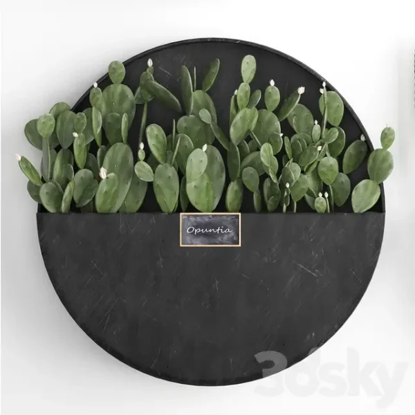 3DSky - Vertical Gardening 55 - Image 4