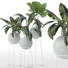 3DSky - Decorative Set of Plants - Image 3