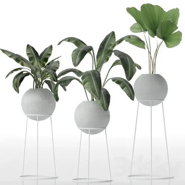 3DSky - Decorative Set of Plants
