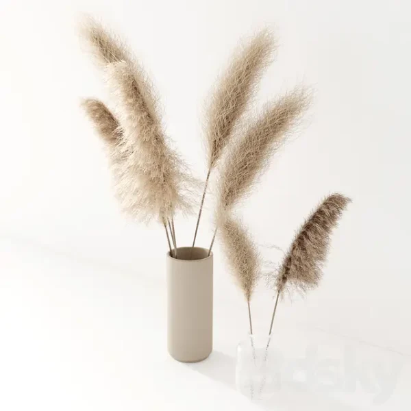 3DSky - Set of Pampas in Vase - Image 4