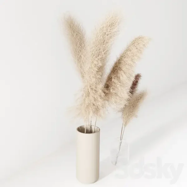 3DSky - Set of Pampas in Vase - Image 2