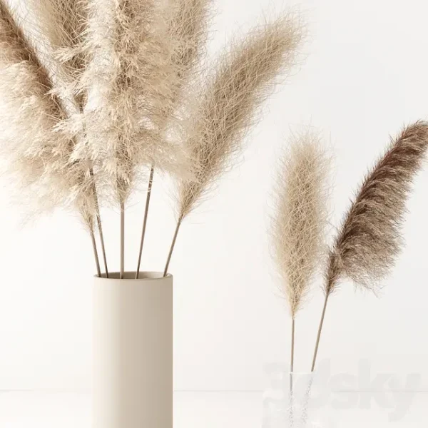 3DSky - Set of Pampas in Vase - Image 3