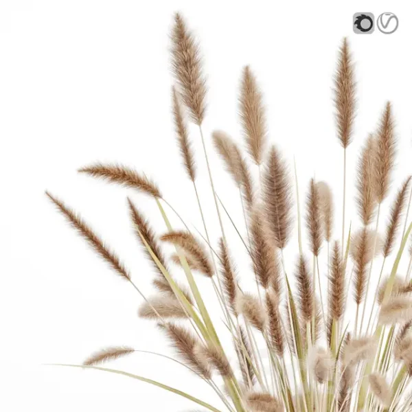 3DSky - Dry Flowers in Glass Vase 2 - Image 3