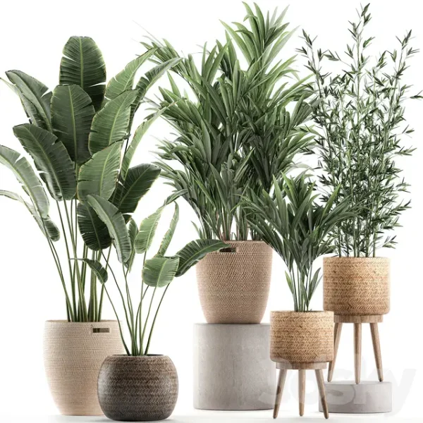 3DSky - Plant Collection 600