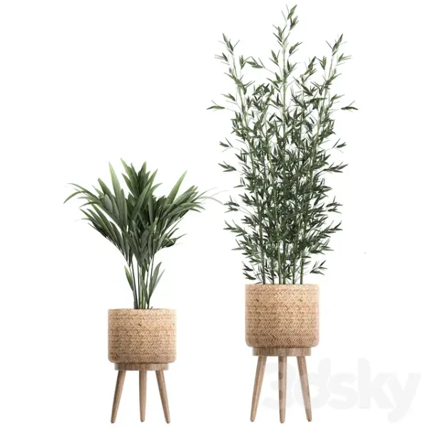 3DSky - Plant Collection 600 - Image 2