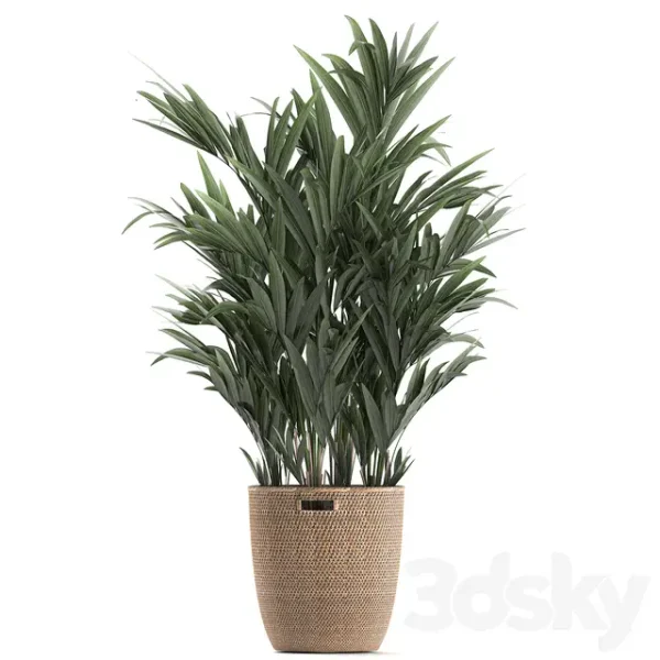 3DSky - Plant Collection 600 - Image 3