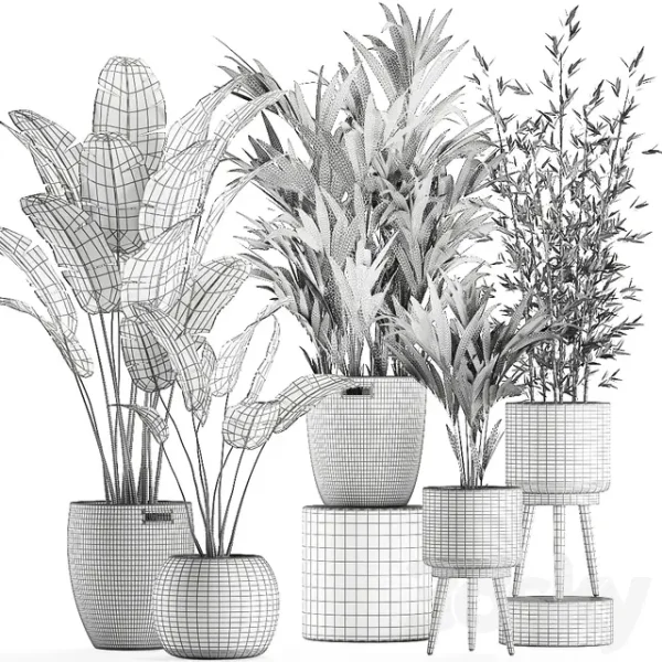 3DSky - Plant Collection 600 - Image 4