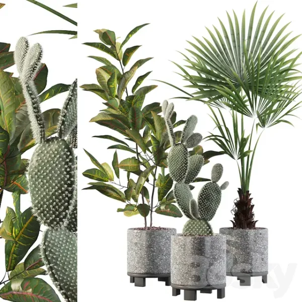 3DSky - Plants Collection 056