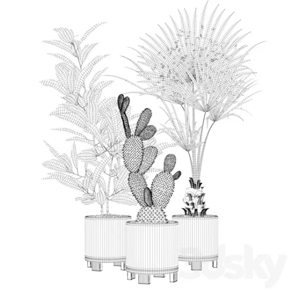 3DSky - Plants Collection 056 - Image 2
