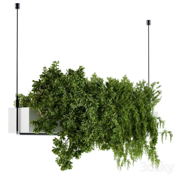 3DSky - Hanging Box Plant Set 70 - Image 2
