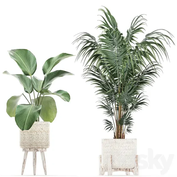 3DSky - Plant Collection 713 - Image 3