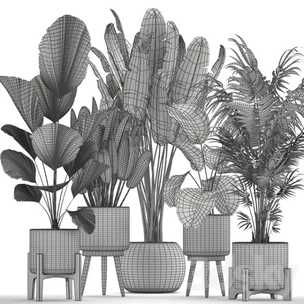 3DSky - Plant Collection 713 - Image 4