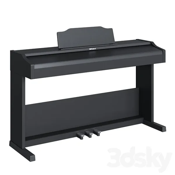 3DSky - Roland RP 102 - Image 4