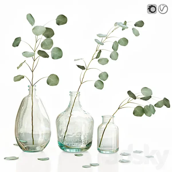 3DSky - Eucalyptus 2