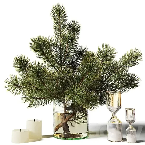 3DSky - Bouquet of Pine Branches in a Glass Vase