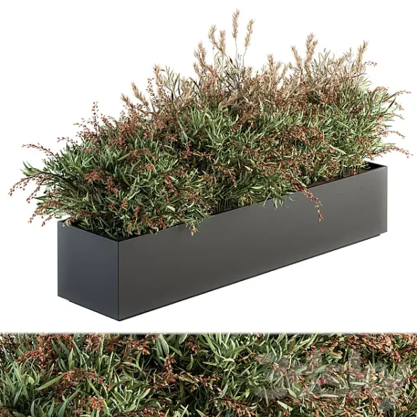 3DSky - Outdoor Plant Set 166 Plant Box Bush