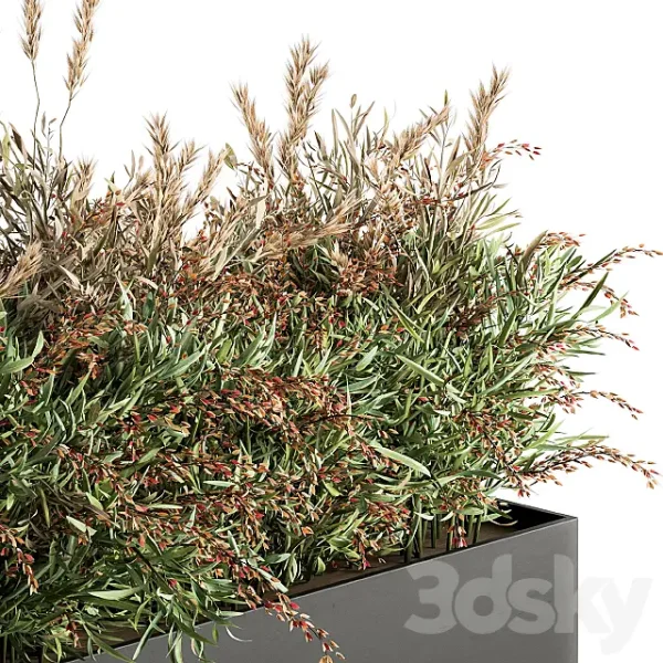 3DSky - Outdoor Plant Set 166 Plant Box Bush - Image 2