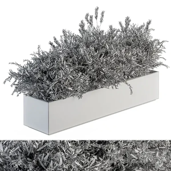 3DSky - Outdoor Plant Set 166 Plant Box Bush - Image 3
