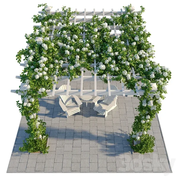 3DSky - Pergola with Hydrangea - Image 3